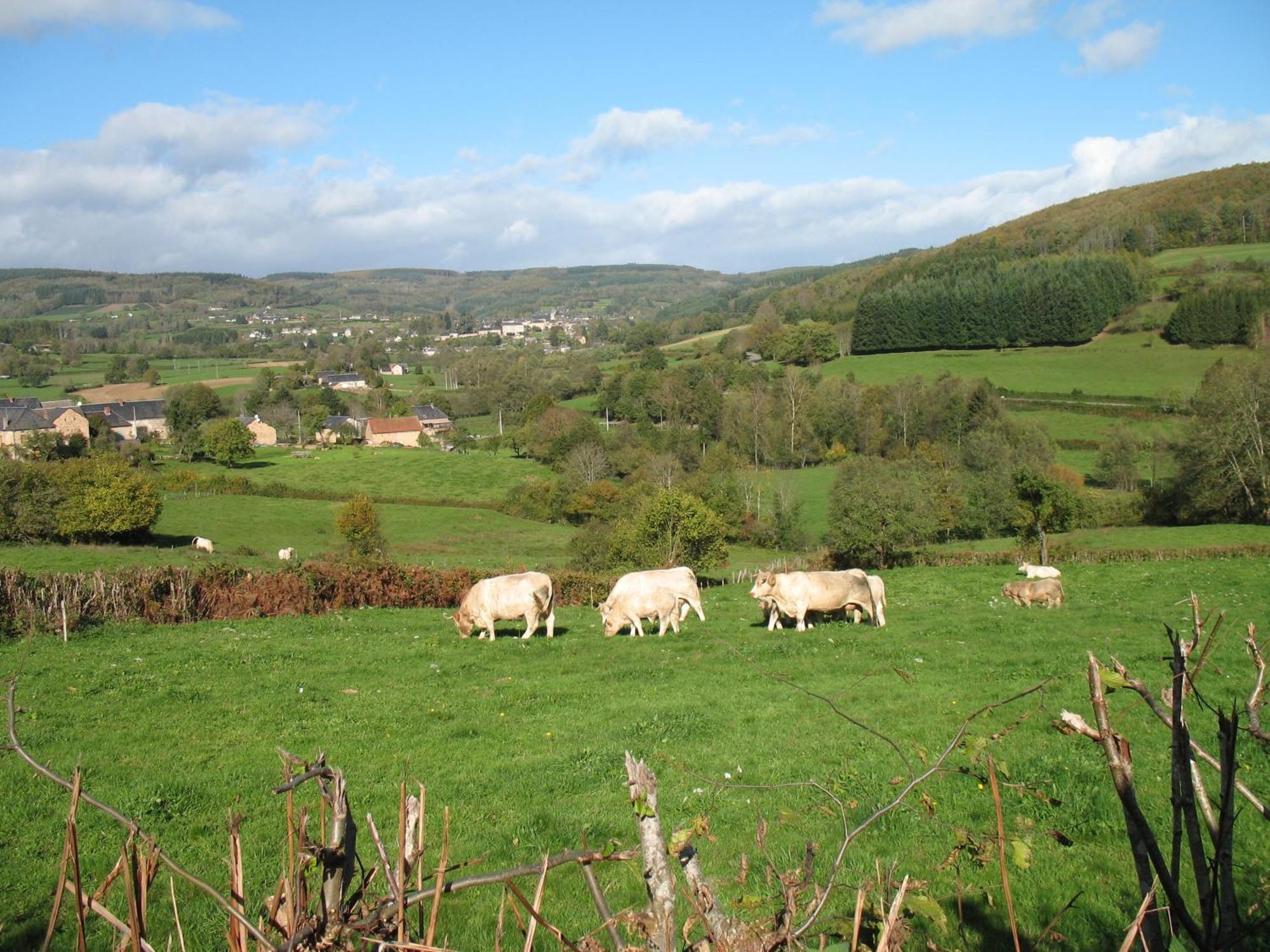 De La Chaloire Bed & Breakfast 2*