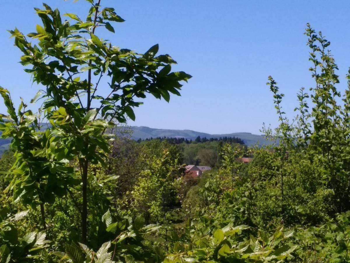 Bed and breakfast De La Chaloire 2*